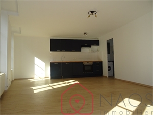 appartement renove à la location -   18700  AUBIGNY SUR NERE, surface 43,9 m2 location appartement renove - NAO8148575